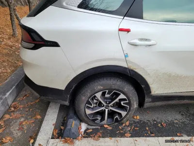 2022 Kia Sportage KNAPW81GBNK029785 VIN:KNAPW81GBNK029785