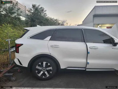 2021 Kia Sorento KNARF81BGMA095607 VIN:KNARF81BGMA095607