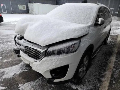 2016 Kia Sorento KNAPH81ABGA216735 VIN:KNAPH81ABGA216735