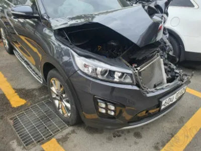 2017 Kia Sorento KNAPK81BDHA310421 VIN:KNAPK81BDHA310421