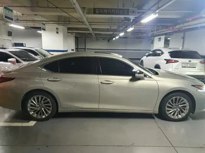 2021 Lexus ES 300 JTHBA1C19M2005366 VIN:JTHBA1C19M2005366