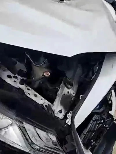 2019 Toyota Camry JTNB21HK0K3039876 VIN:JTNB21HK0K3039876