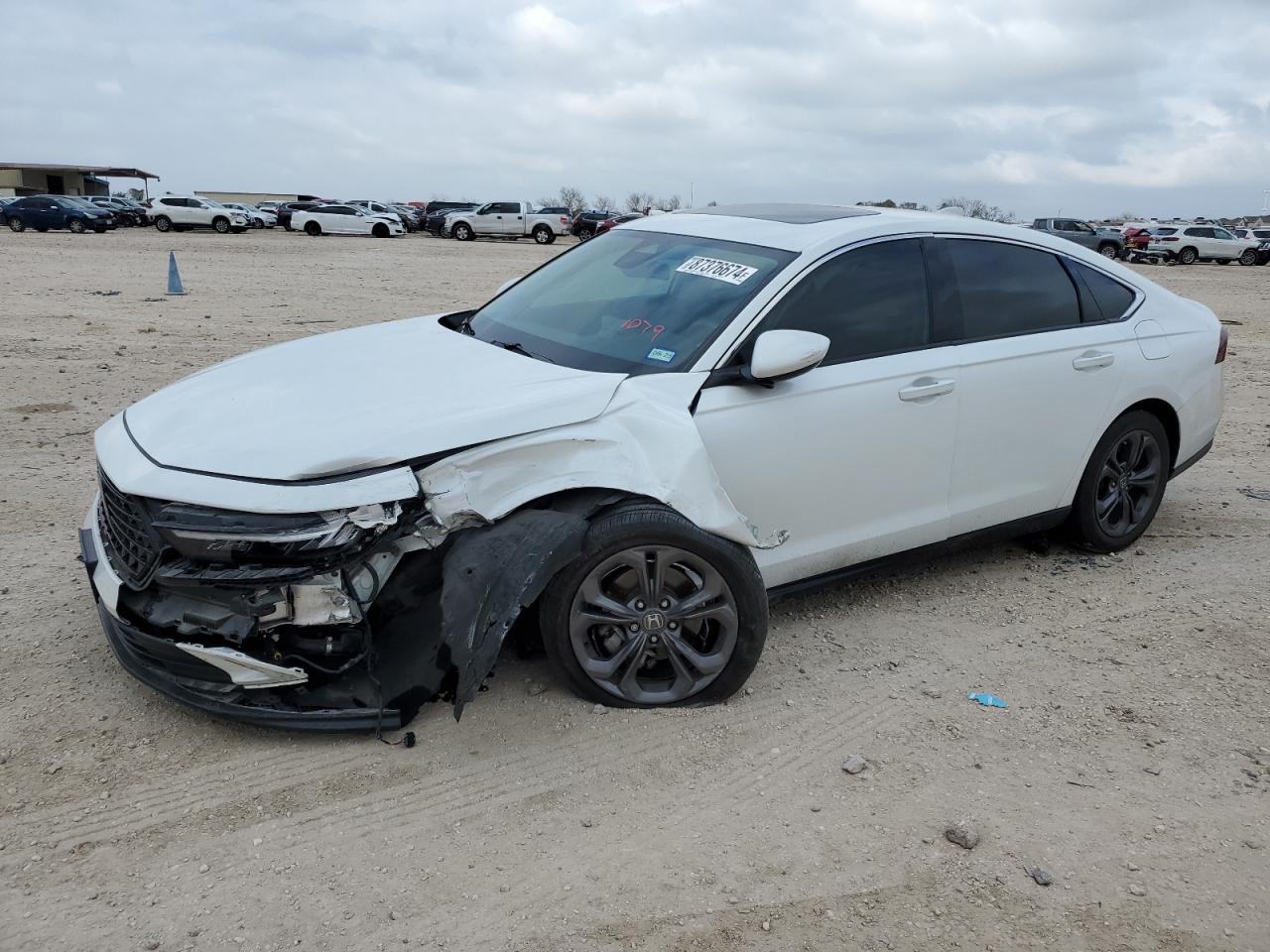 2023 HONDA ACCORD EX VIN:1HGCY1F31PA027811