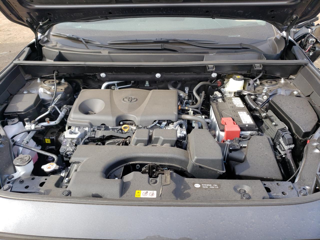 2023 TOYOTA RAV4 XLE VIN:2T3P1RFV0PW391692