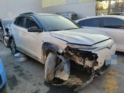 2020 Hyundai Kona KMHK381GFLU113416 VIN:KMHK381GFLU113416