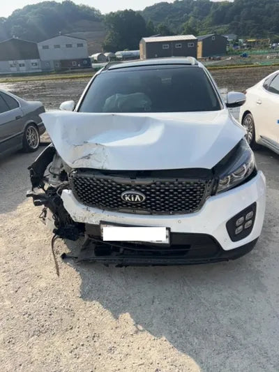 2016 Kia Sorento KNAPH81ABGA246405 VIN:KNAPH81ABGA246405