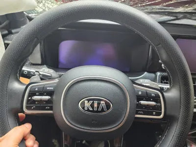 2021 Kia Sorento KNARJ81GBMA028556 VIN:KNARJ81GBMA028556