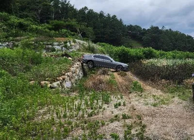 2021 BMW 740 WBA7R2105MCG62546 VIN:WBA7R2105MCG62546