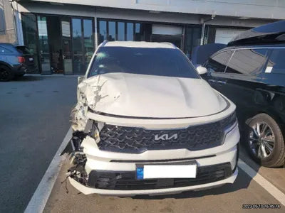 2022 Kia Sorento KNARM81GBNA079727 VIN:KNARM81GBNA079727