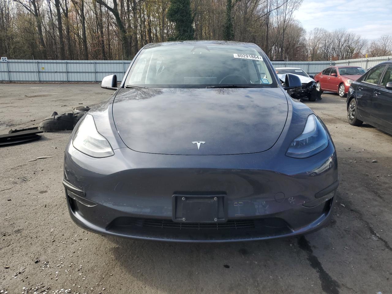2023 TESLA MODEL Y  VIN:7SAYGDEE3PA203079
