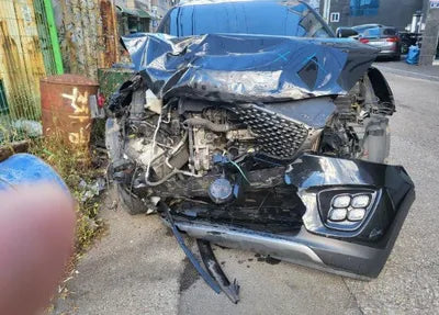 2017 Kia Sorento KNAPS81ABHA295165 VIN:KNAPS81ABHA295165