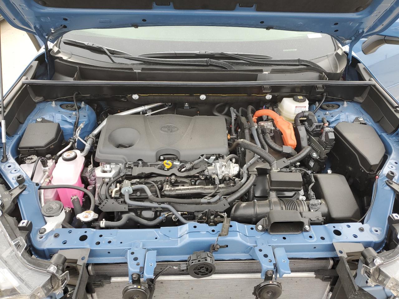 2024 TOYOTA RAV4 SE VIN:JTM16RFV7RD137629