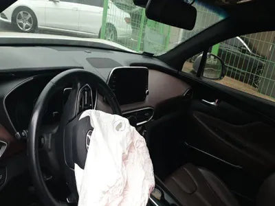 2018 Hyundai Santa FE KMHS581CDKU124309 VIN:KMHS581CDKU124309