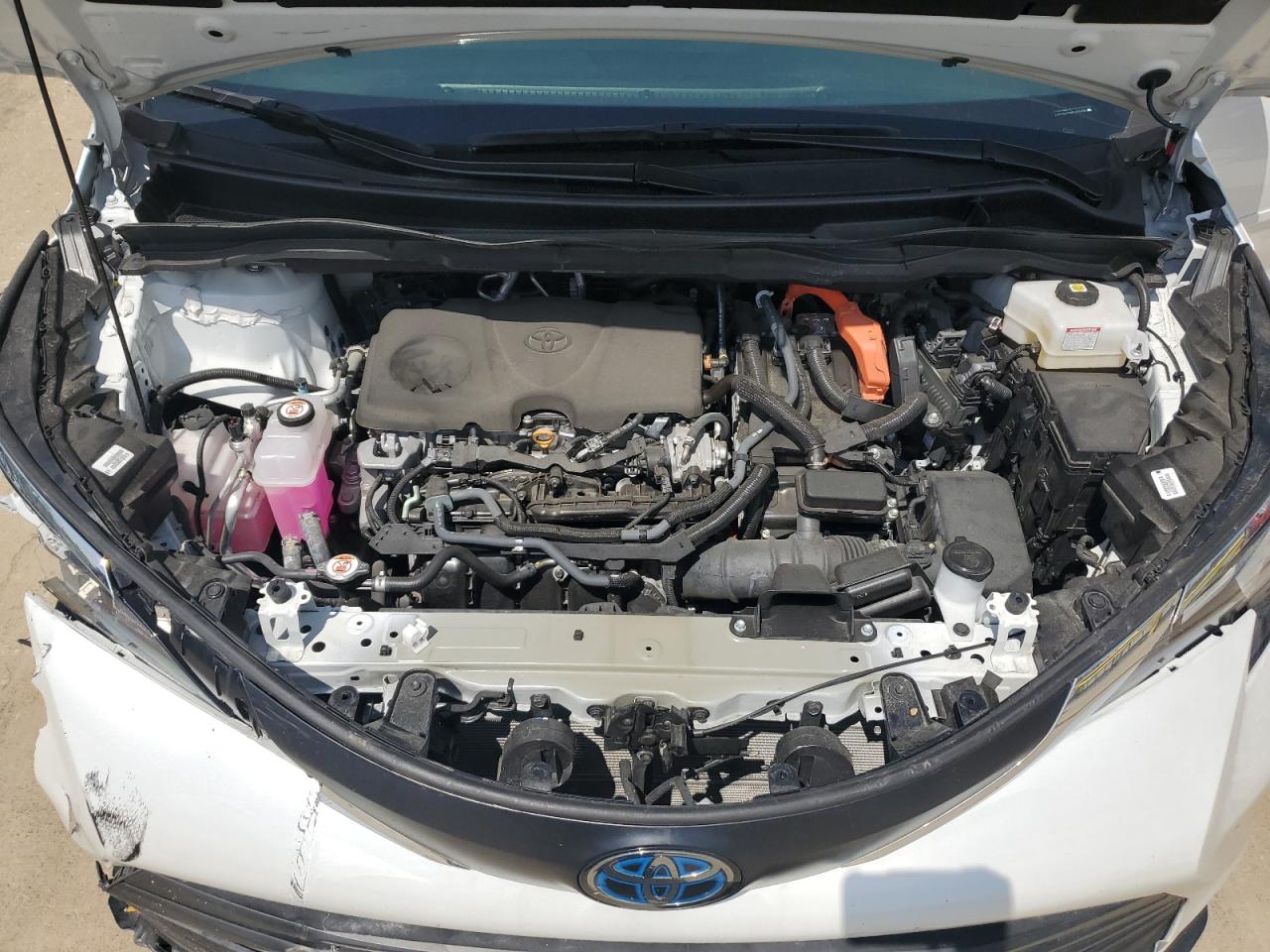 2023 TOYOTA SIENNA XLE VIN:5TDYSKFC9PS075829