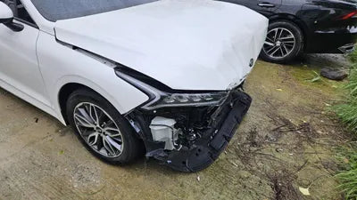 2021 Kia K5 KNAG241BBMA142552 VIN:KNAG241BBMA142552