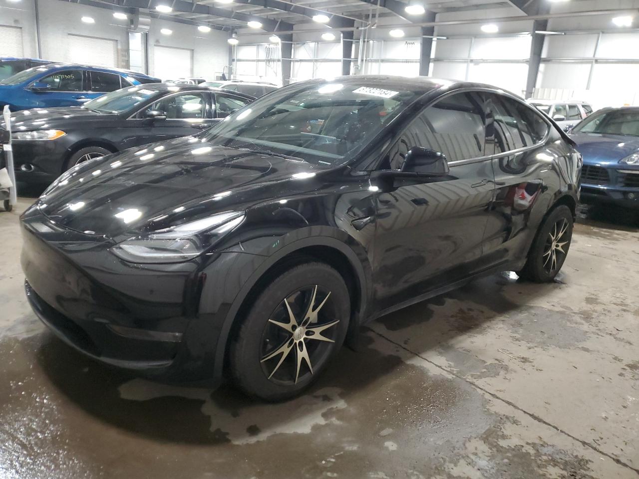 2023 TESLA MODEL Y  VIN:7SAYGDEE8PA161640