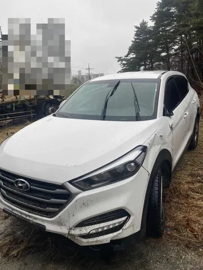 2017 Hyundai Tucson KMHJ281ABJU572026 VIN:KMHJ281ABJU572026