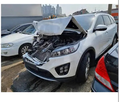 2016 Kia Sorento KNAPK81BDGA225725 VIN:KNAPK81BDGA225725