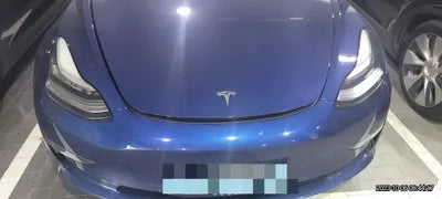 2020 Tesla Model 3 5YJ3E1EB0LF725098 VIN:5YJ3E1EB0LF725098
