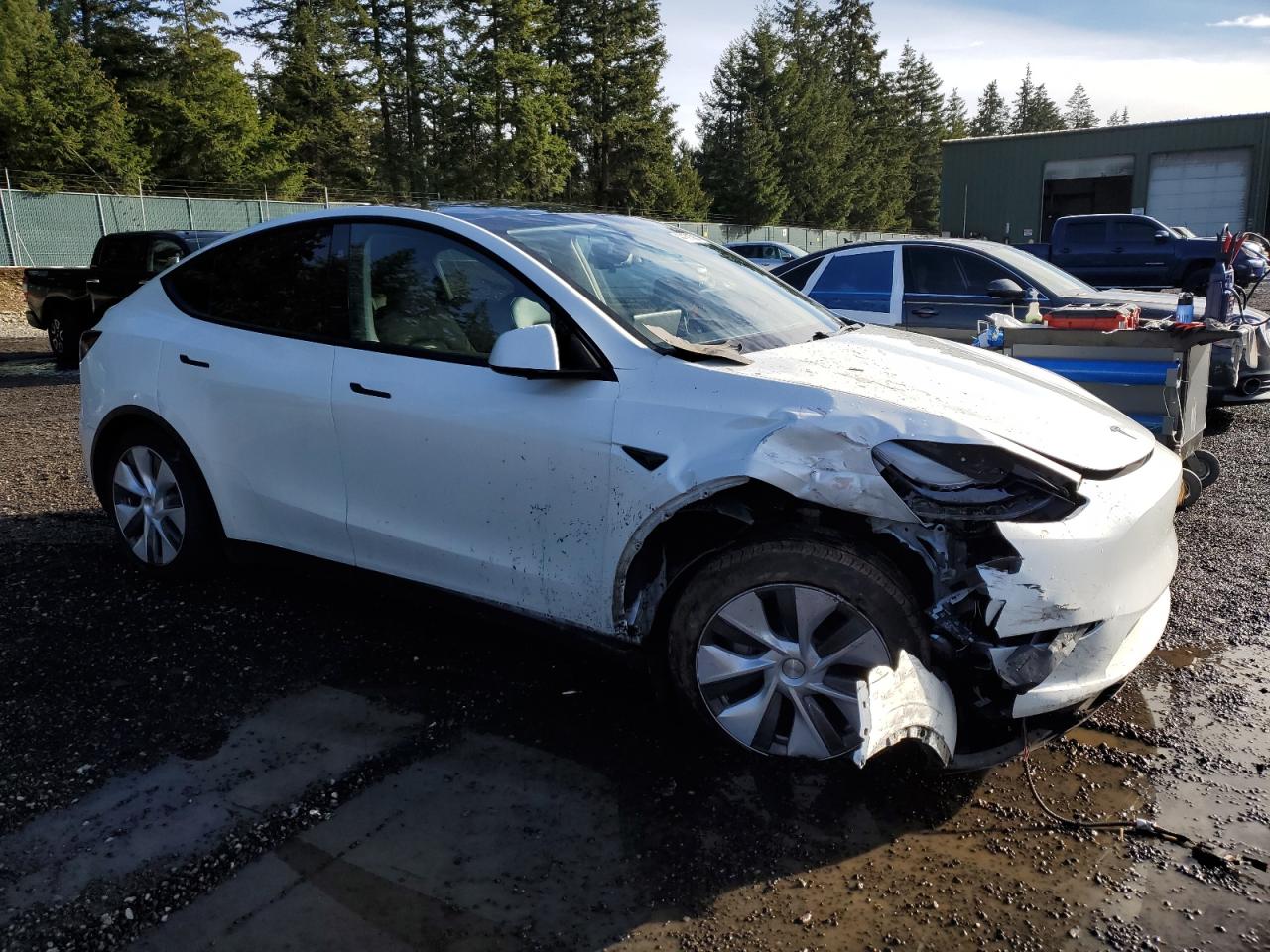 2024 TESLA MODEL Y  VIN:7SAYGAEE1RF988982