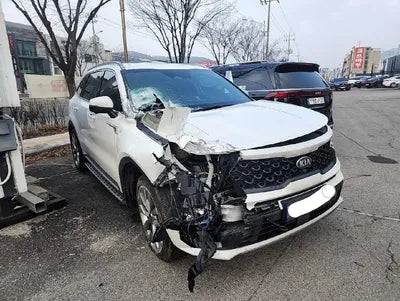 2021 Kia Sorento KNARH81BHMA048343 VIN:KNARH81BHMA048343
