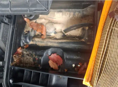 2020 Mercedes-Benz S 450 W1KUG6EB0LA530273 VIN:W1KUG6EB0LA530273