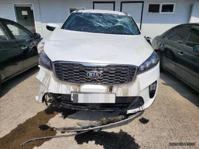 2019 Kia Sorento KNAPH81BBLA564657 VIN:KNAPH81BBLA564657