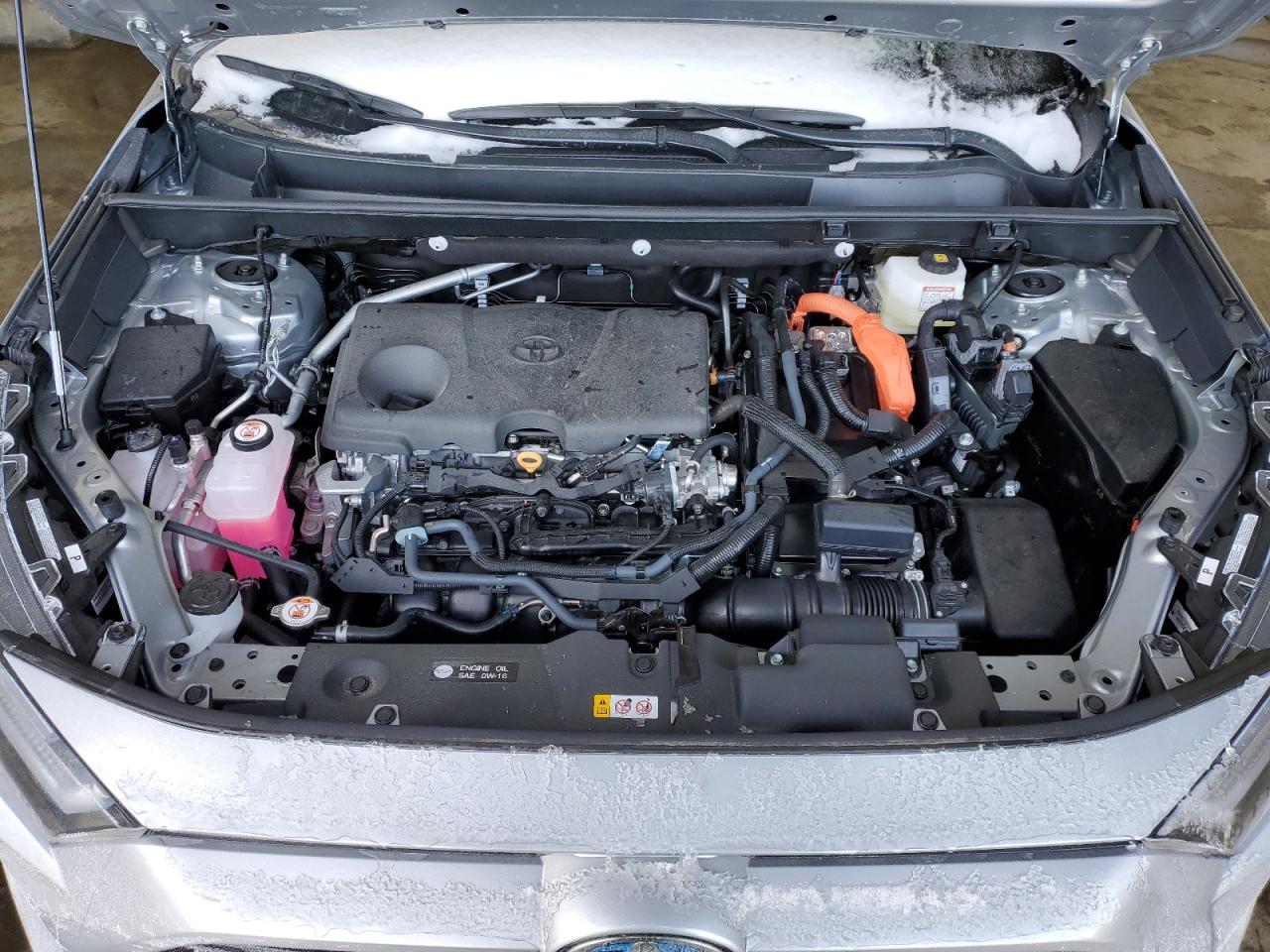 2024 TOYOTA RAV4 XSE VIN:2T3E6RFVXRW081223