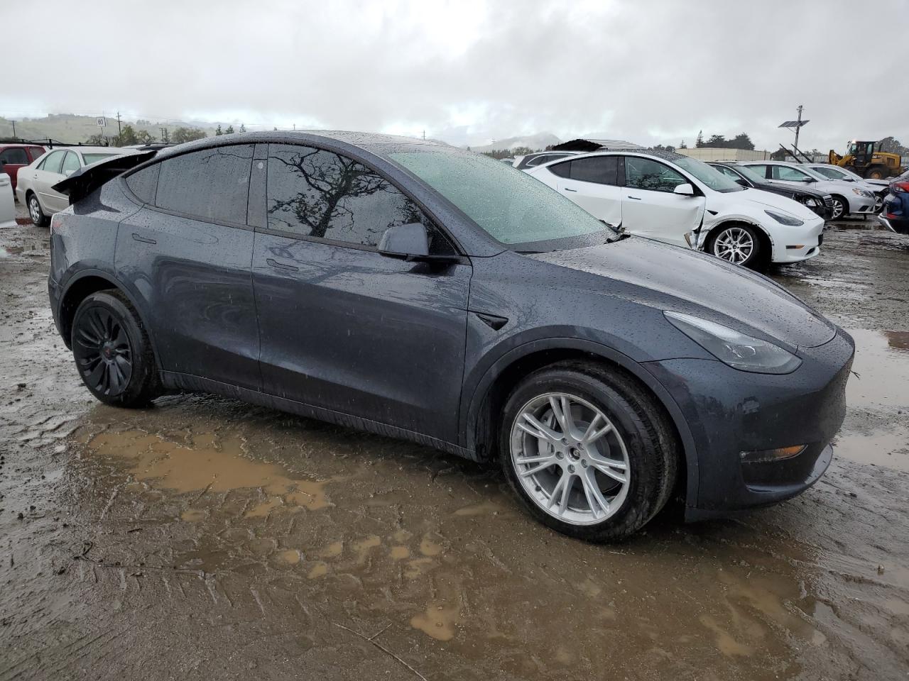2024 TESLA MODEL Y  VIN:7SAYGDEE8RF060376