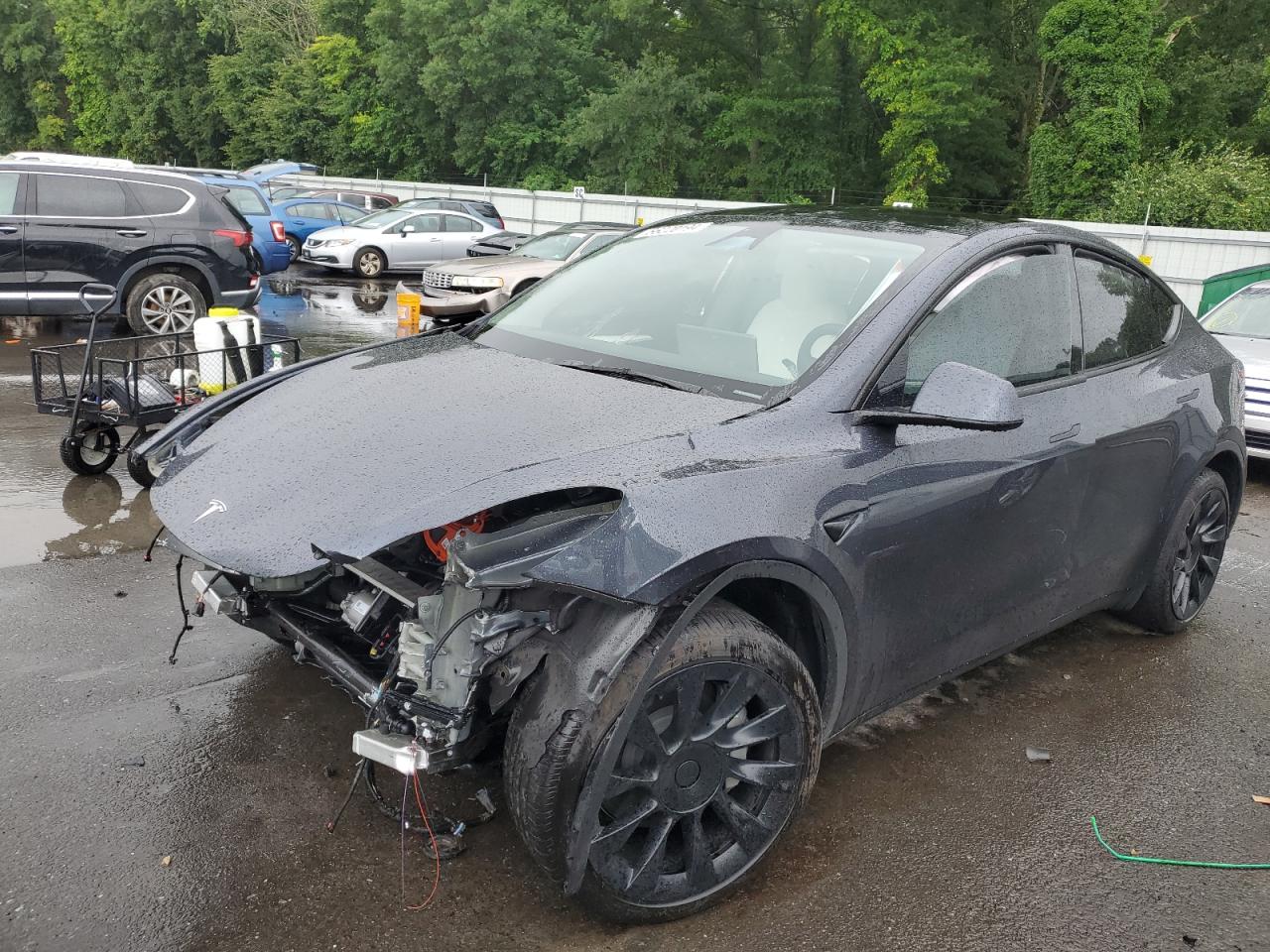 2024 TESLA MODEL Y  VIN:7SAYGDEE5RA233672