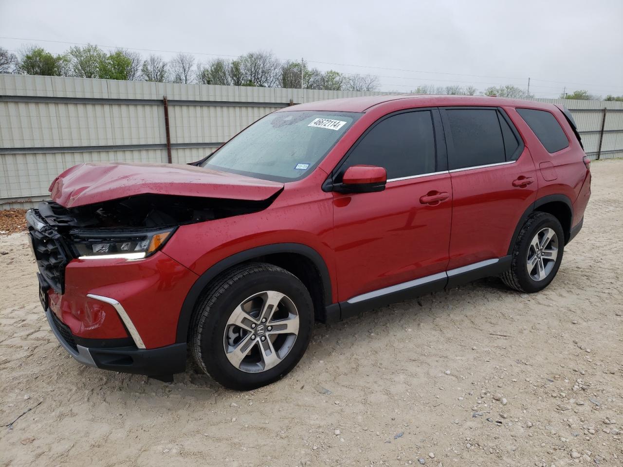 2024 HONDA PILOT EXL VIN:5FNYG1H47RB023219