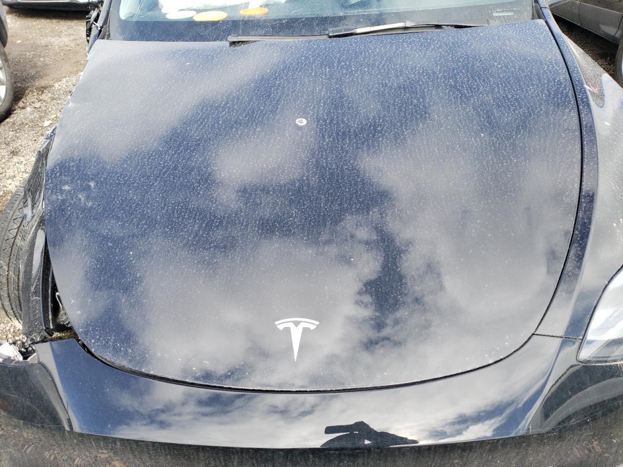 2024 TESLA MODEL Y  VIN:7SAYGDEE9RF183281