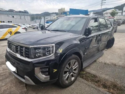 2020 Kia Mohave KNAKN814DLA203123 VIN:KNAKN814DLA203123