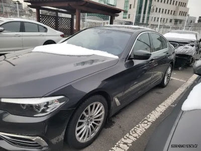 2019 BMW 520 WBAJK7108KGL28831 VIN:WBAJK7108KGL28831