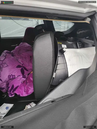 2019 Hyundai Santa FE KMHS381BBKU171201 VIN:KMHS381BBKU171201