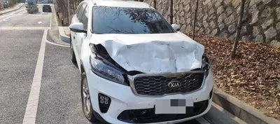 2019 Kia Sorento KNAPK81BDLA554946 VIN:KNAPK81BDLA554946