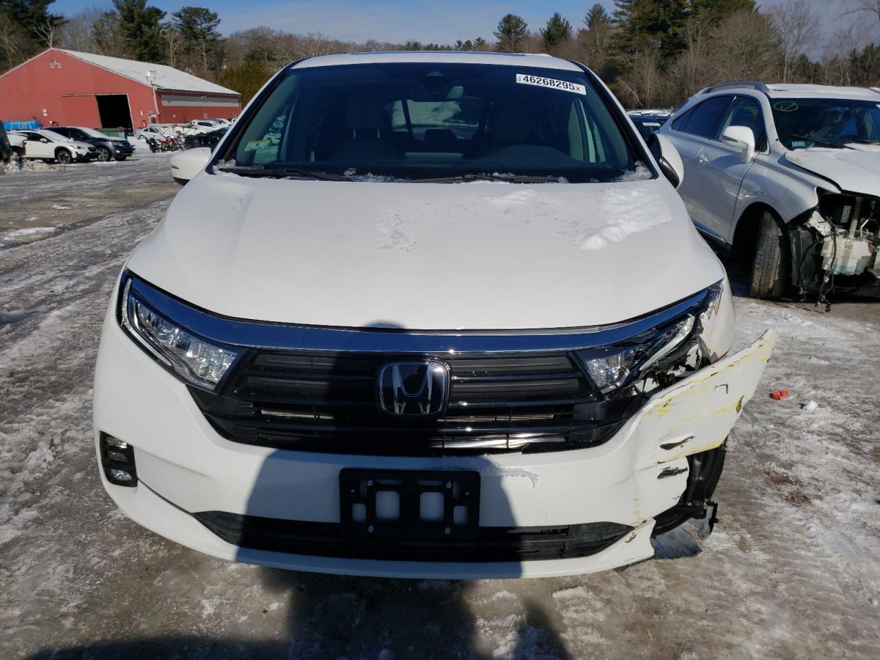 2024 HONDA ODYSSEY EXL VIN:5FNRL6H65RB064382