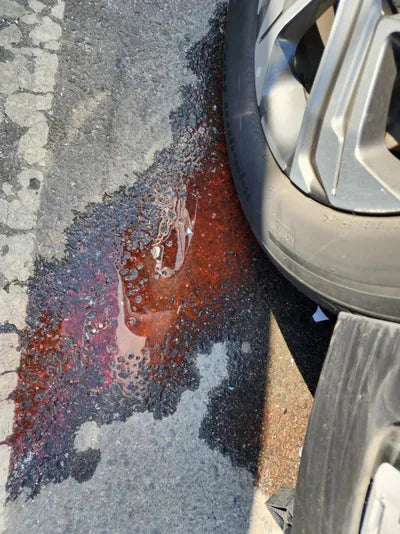 2020 Hyundai Santa FE KMHS381HGMU323976 VIN:KMHS381HGMU323976