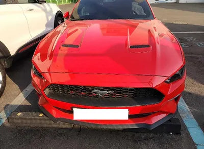 2019 Ford Mustang 1FA6P8TH1K5165654 VIN:1FA6P8TH1K5165654