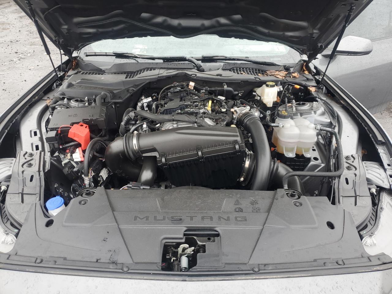 2024 FORD MUSTANG  VIN:1FA6P8TH8R5119281