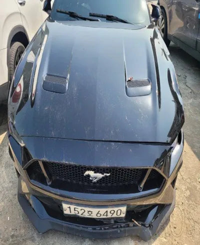 2020 Ford Mustang GT 1FA6P8CF8L5111185 VIN:1FA6P8CF8L5111185