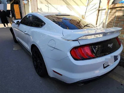 2019 Ford Mustang 1FA6P8TH0K5203018 VIN:1FA6P8TH0K5203018