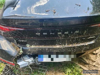 2023 Genesis G90 VIN: