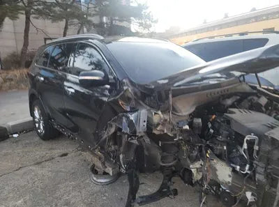 2018 Kia Sorento KNAPS81ABKA498723 VIN:KNAPS81ABKA498723