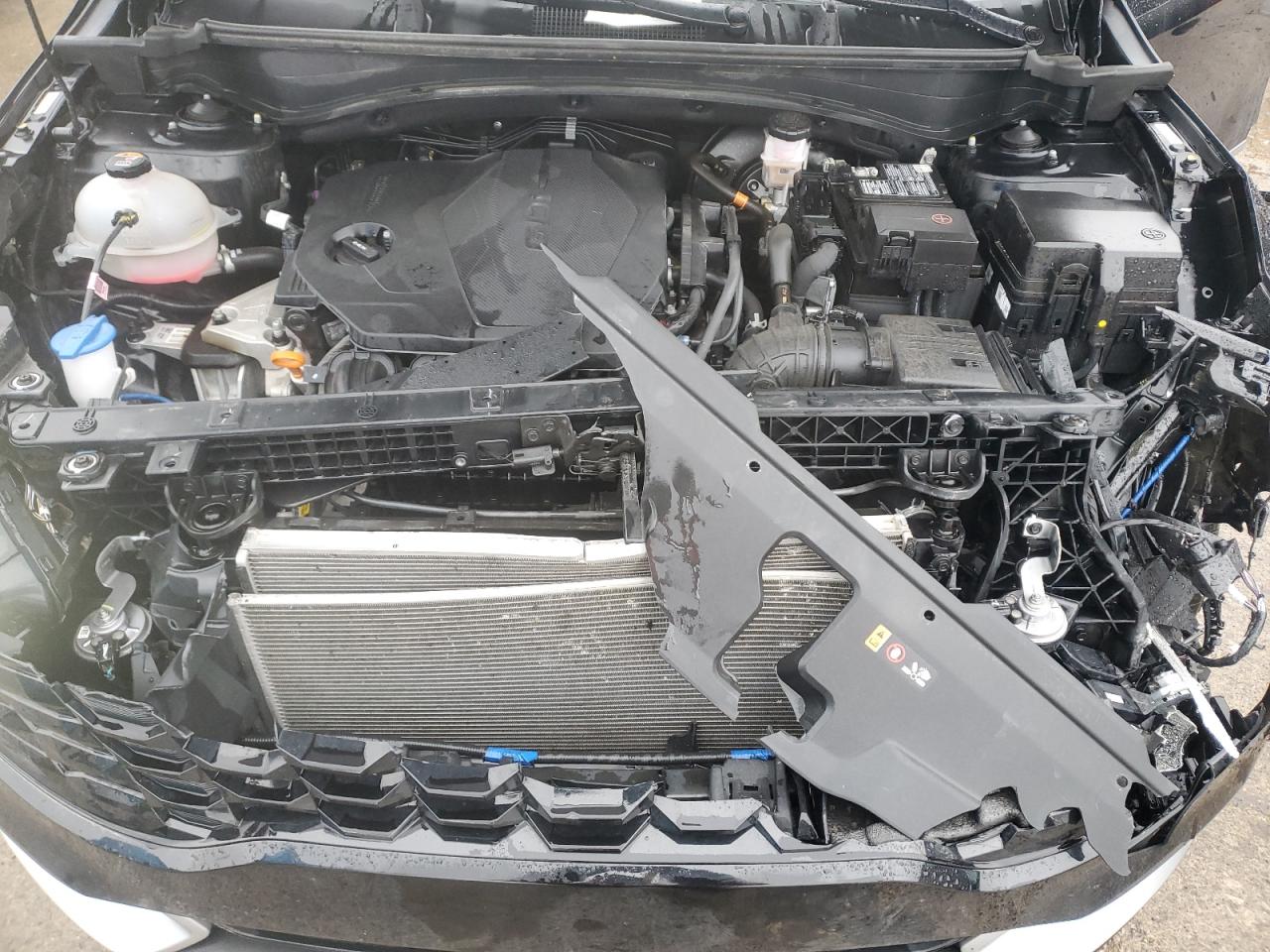 2023 KIA SPORTAGE EX VIN:5XYK3CAF8PG113994