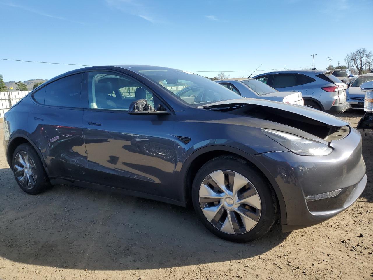 2023 TESLA MODEL Y  VIN:7SAYGDEE5PF913829