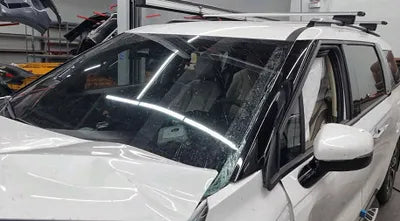 2021 Kia Carnival KNANC81BBMS037923 VIN:KNANC81BBMS037923