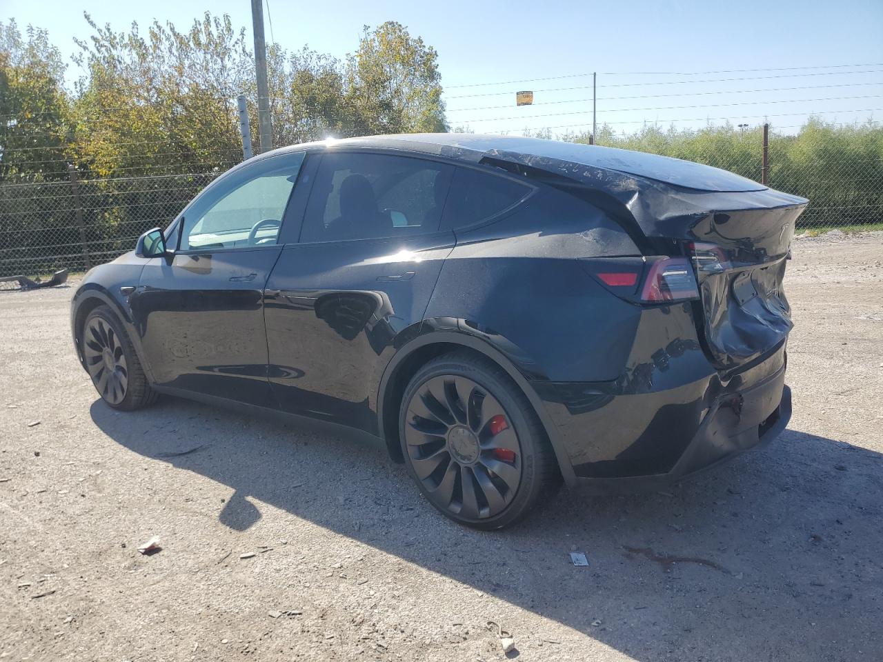 2024 TESLA MODEL Y  VIN:7SAYGDEF2RF043520