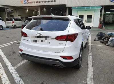 2018 Hyundai Santa FE KMHSW81UBJU793209 VIN:KMHSW81UBJU793209