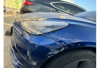2020 Tesla Model 3 5YJ3E1EB7LF808981 VIN:5YJ3E1EB7LF808981